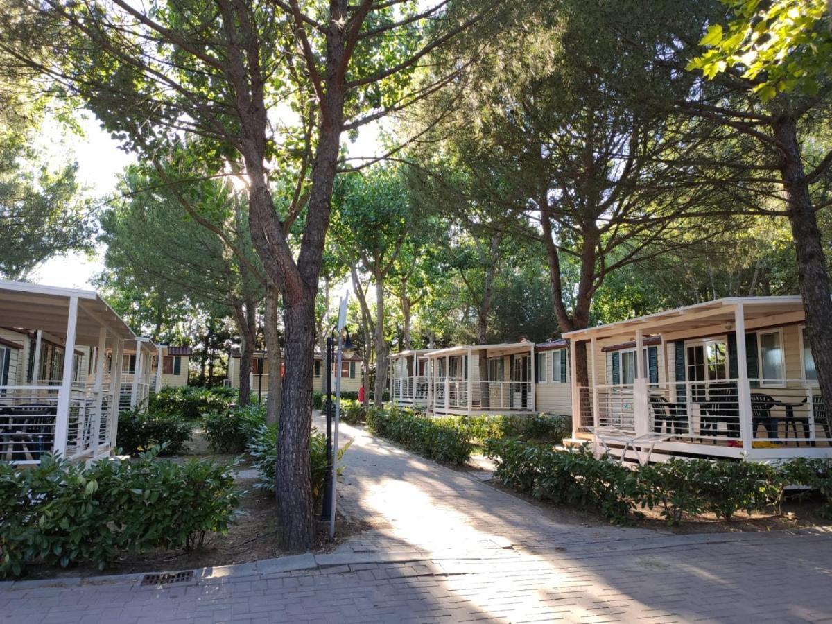 Badiaccia Village Camping Castiglione del Lago Eksteriør billede